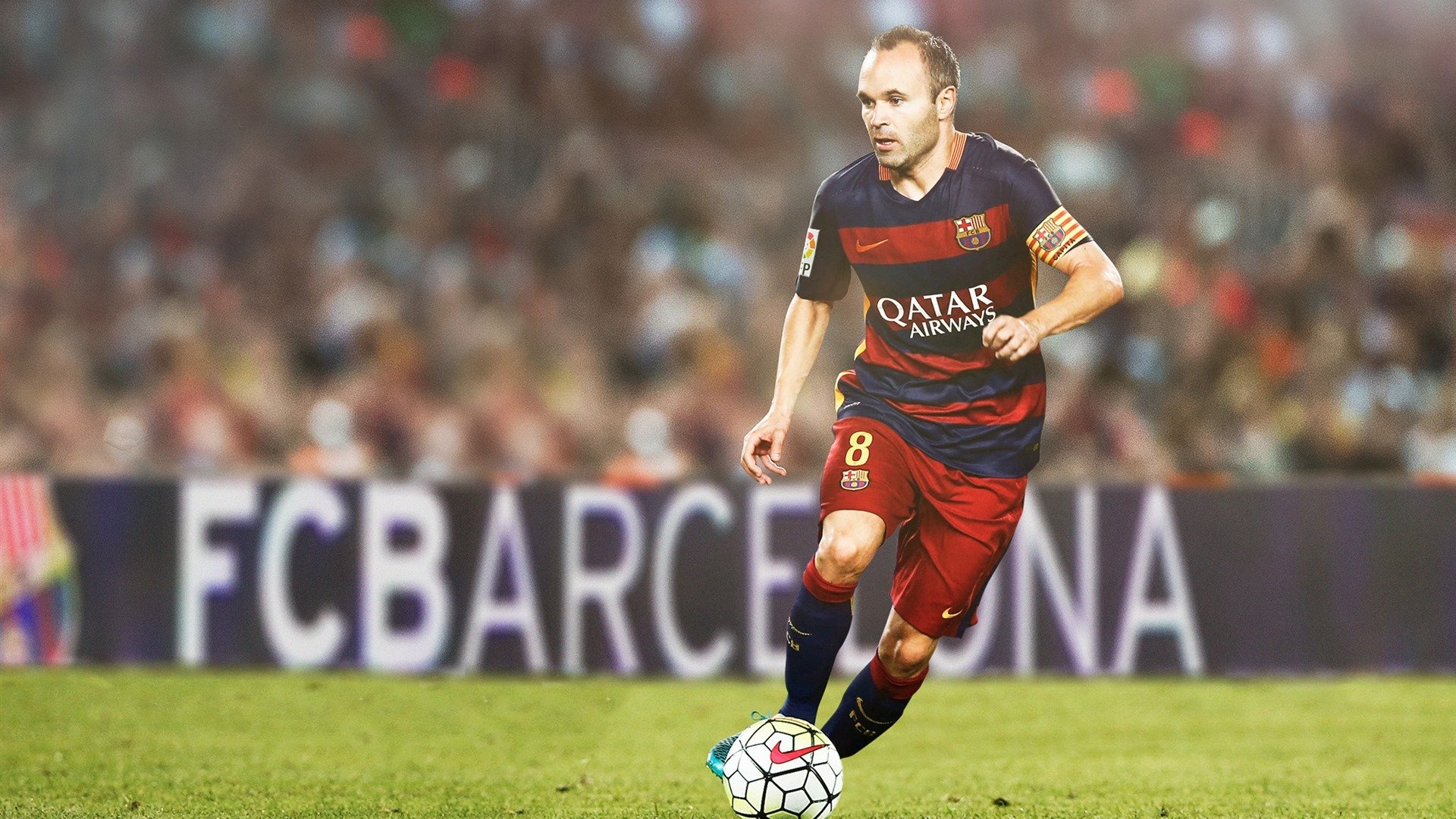 悉尼国王球员配合默契提升,悉尼国王vs坎斯大班